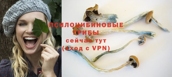 дурь Армянск