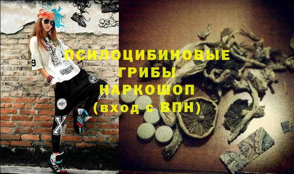 гидропоника Арсеньев